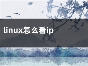 linux怎么看ip