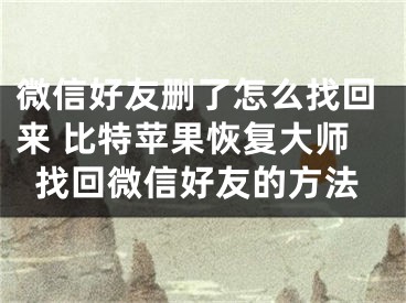 微信好友刪了怎么找回來 比特蘋果恢復(fù)大師找回微信好友的方法