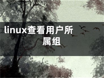 linux查看用戶所屬組