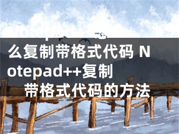 Notepad++怎么復(fù)制帶格式代碼 Notepad++復(fù)制帶格式代碼的方法