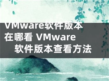 VMware軟件版本在哪看 VMware軟件版本查看方法