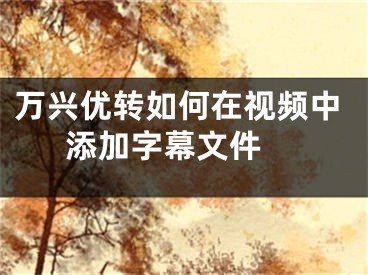 萬興優(yōu)轉(zhuǎn)如何在視頻中添加字幕文件 