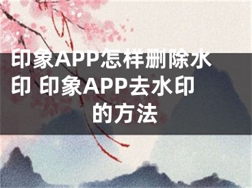 印象APP怎樣刪除水印 印象APP去水印的方法