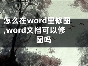 怎么在word里修圖,word文檔可以修圖嗎