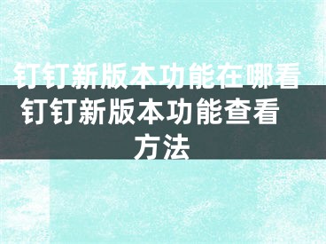 釘釘新版本功能在哪看 釘釘新版本功能查看方法