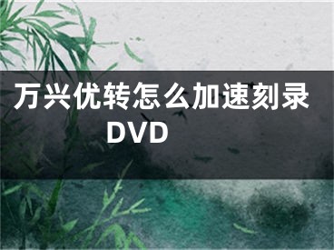 萬興優(yōu)轉(zhuǎn)怎么加速刻錄DVD 