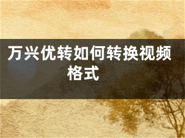 萬興優(yōu)轉(zhuǎn)如何轉(zhuǎn)換視頻格式 