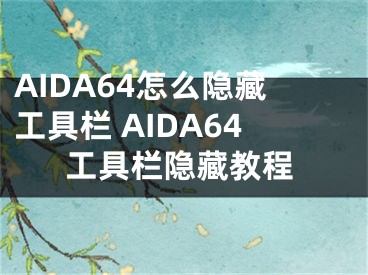 AIDA64怎么隱藏工具欄 AIDA64工具欄隱藏教程