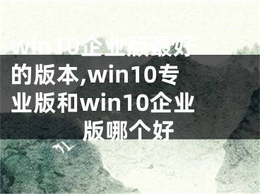 win10企業(yè)版最好的版本,win10專(zhuān)業(yè)版和win10企業(yè)版哪個(gè)好