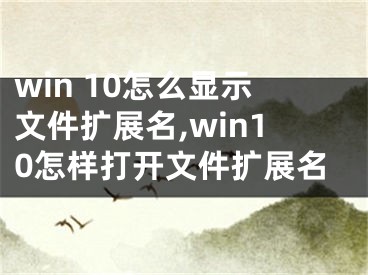 win 10怎么顯示文件擴展名,win10怎樣打開文件擴展名