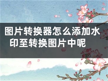 圖片轉(zhuǎn)換器怎么添加水印至轉(zhuǎn)換圖片中呢 