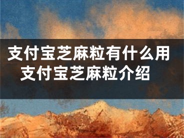 支付寶芝麻粒有什么用 支付寶芝麻粒介紹