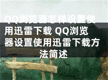 QQ瀏覽器怎樣設(shè)置使用迅雷下載 QQ瀏覽器設(shè)置使用迅雷下載方法簡述