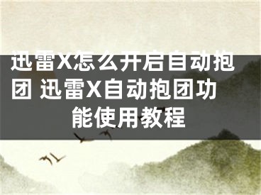 迅雷X怎么開(kāi)啟自動(dòng)抱團(tuán) 迅雷X自動(dòng)抱團(tuán)功能使用教程