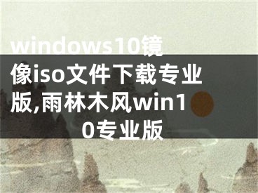 windows10鏡像iso文件下載專業(yè)版,雨林木風(fēng)win10專業(yè)版