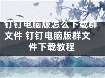 釘釘電腦版怎么下載群文件 釘釘電腦版群文件下載教程