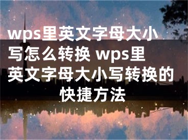 wps里英文字母大小寫怎么轉(zhuǎn)換 wps里英文字母大小寫轉(zhuǎn)換的快捷方法