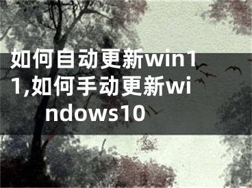 如何自動更新win11,如何手動更新windows10