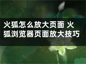 火狐怎么放大頁(yè)面 火狐瀏覽器頁(yè)面放大技巧