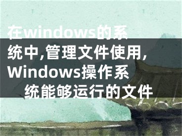 在windows的系統(tǒng)中,管理文件使用,Windows操作系統(tǒng)能夠運行的文件