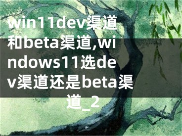 win11dev渠道和beta渠道,windows11選dev渠道還是beta渠道_2