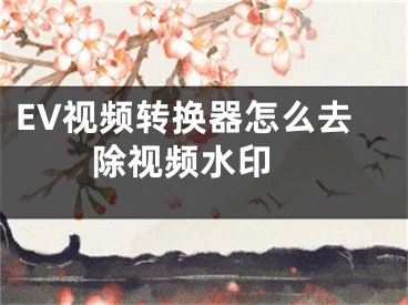 EV視頻轉(zhuǎn)換器怎么去除視頻水印 