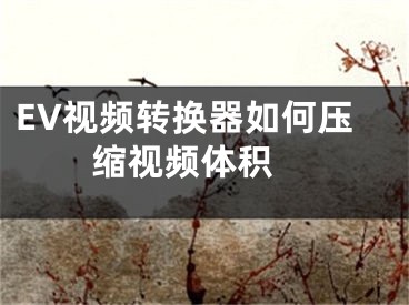 EV視頻轉(zhuǎn)換器如何壓縮視頻體積 