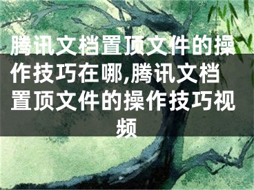 騰訊文檔置頂文件的操作技巧在哪,騰訊文檔置頂文件的操作技巧視頻