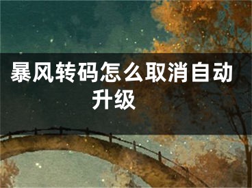 暴風轉(zhuǎn)碼怎么取消自動升級 