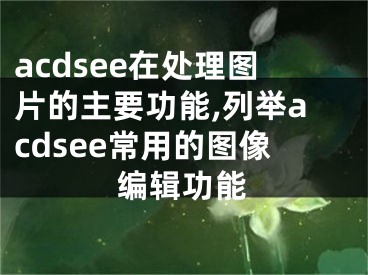 acdsee在處理圖片的主要功能,列舉acdsee常用的圖像編輯功能