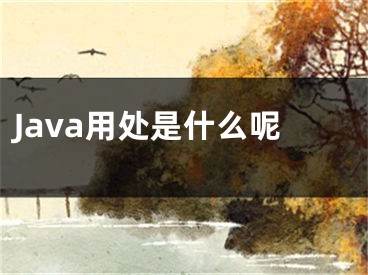 Java用處是什么呢