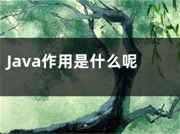 Java作用是什么呢