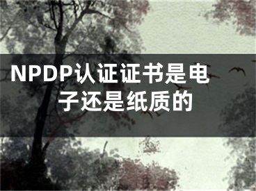 NPDP認證證書是電子還是紙質(zhì)的