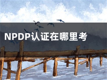 NPDP認(rèn)證在哪里考