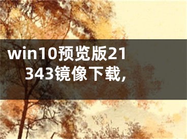 win10預覽版21343鏡像下載,