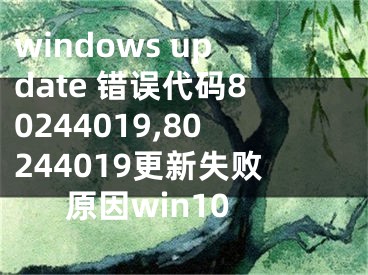 windows update 錯誤代碼80244019,80244019更新失敗原因win10