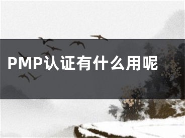 PMP認(rèn)證有什么用呢