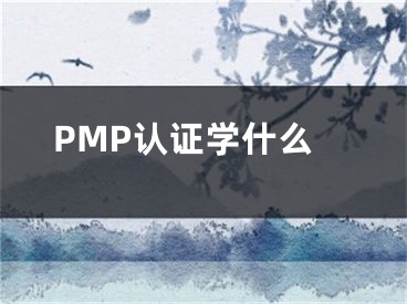 PMP認證學什么