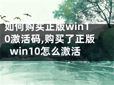 如何購買正版win10激活碼,購買了正版win10怎么激活