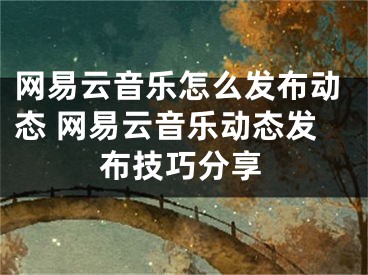 網(wǎng)易云音樂(lè)怎么發(fā)布動(dòng)態(tài) 網(wǎng)易云音樂(lè)動(dòng)態(tài)發(fā)布技巧分享