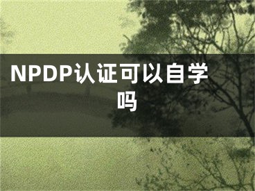 NPDP認(rèn)證可以自學(xué)嗎