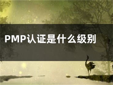 PMP認(rèn)證是什么級別