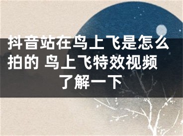 抖音站在鳥(niǎo)上飛是怎么拍的 鳥(niǎo)上飛特效視頻了解一下