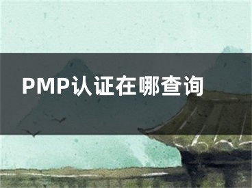 PMP認(rèn)證在哪查詢