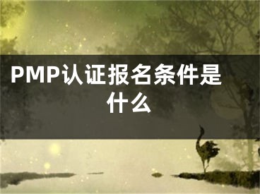 PMP認(rèn)證報(bào)名條件是什么