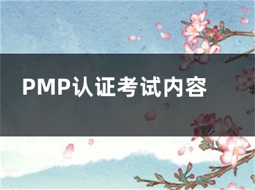 PMP認(rèn)證考試內(nèi)容