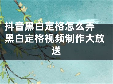 抖音黑白定格怎么弄 黑白定格視頻制作大放送