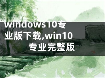 windows10專業(yè)版下載,win10專業(yè)完整版