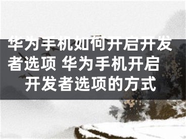 華為手機如何開啟開發(fā)者選項 華為手機開啟開發(fā)者選項的方式