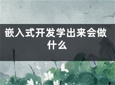 嵌入式開發(fā)學(xué)出來會做什么